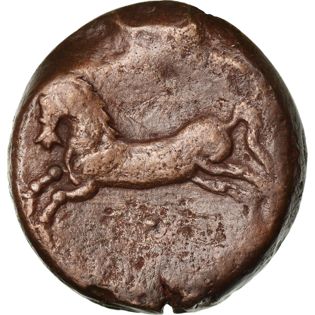 Münze, Numidia (Kingdom of), Massinissa or Micipsa, Bronze Æ, S+, Bronze