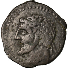 Monnaie, Numidia (Kingdom of), Massinissa ou Micipsa, Bronze Æ, TB+, Bronze