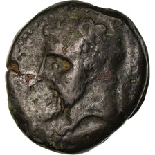 Monnaie, Numidia (Kingdom of), Massinissa ou Micipsa, Bronze Æ, TB+, Bronze