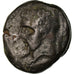 Monnaie, Numidia (Kingdom of), Massinissa ou Micipsa, Bronze Æ, TB+, Bronze