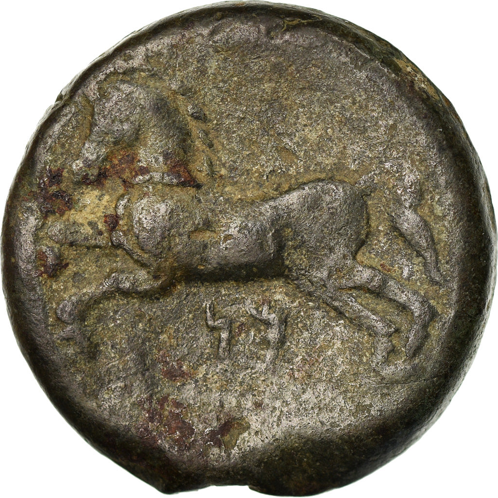 Monnaie, Numidia (Kingdom of), Massinissa ou Micipsa, Bronze Æ, TB, Bronze