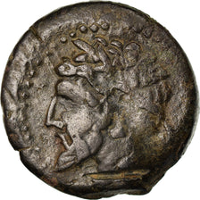 Coin, Numidia (Kingdom of), Massinissa or Micipsa, Bronze Æ, VF(30-35), Bronze