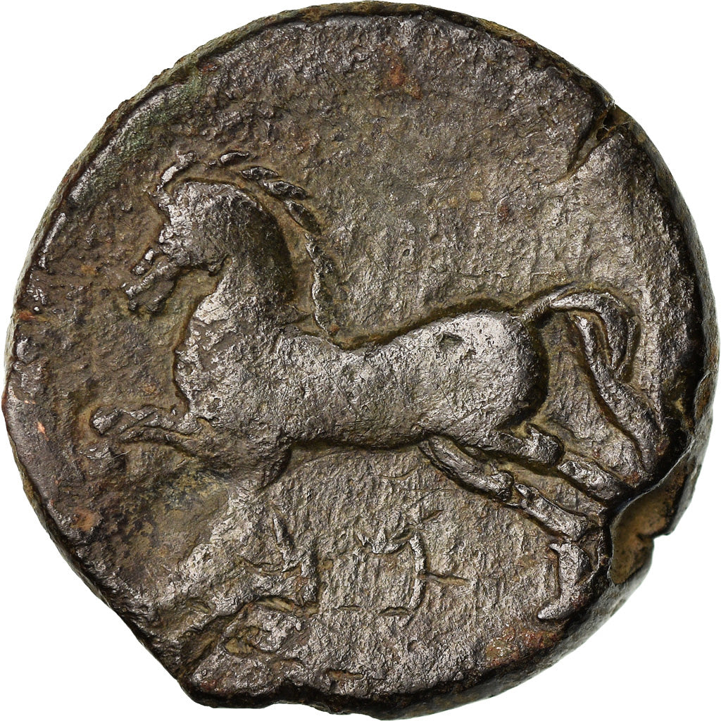 Coin, Numidia (Kingdom of), Massinissa or Micipsa, Bronze Æ, VF(30-35), Bronze