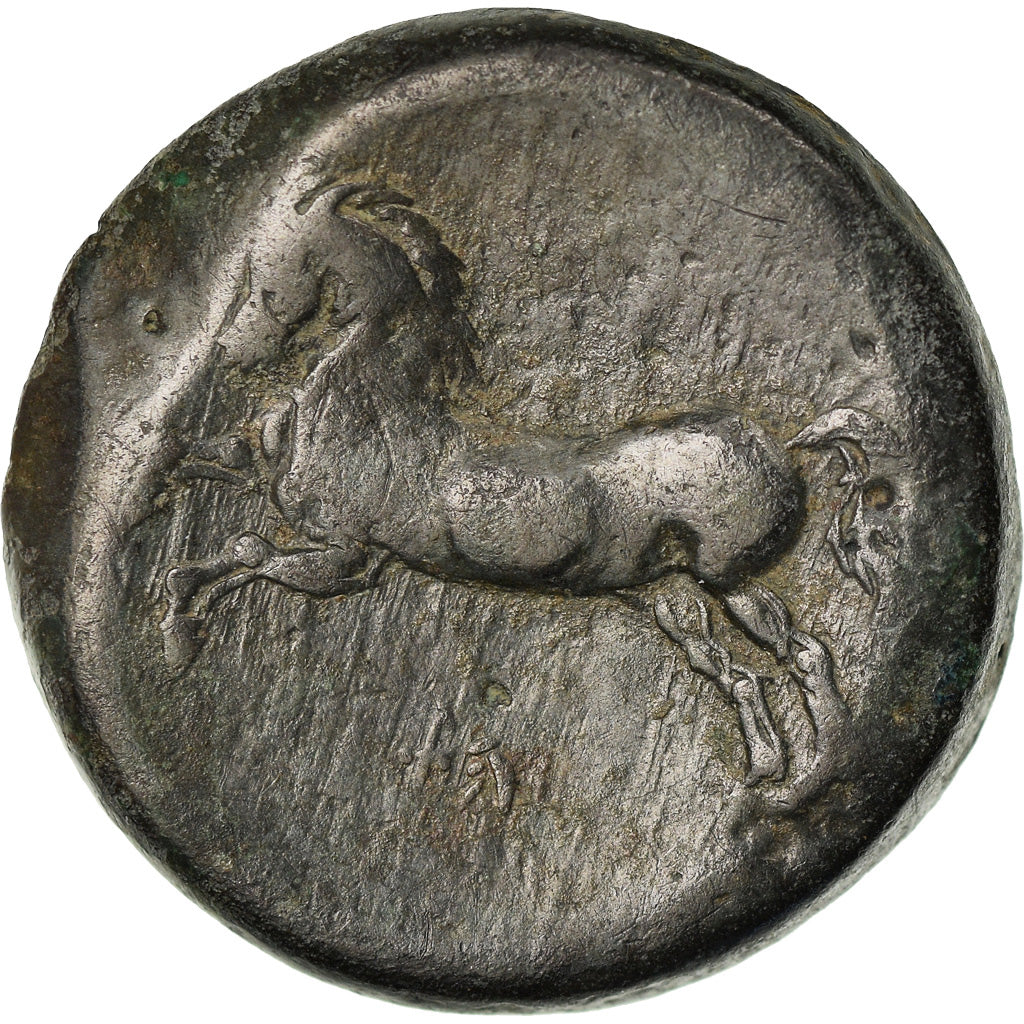 Moneta, Numidia (Kingdom of), Massinissa or Micipsa, Bronze Æ, MB+, Bronzo