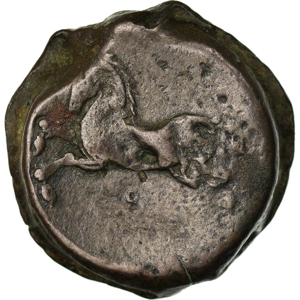 Monnaie, Numidia (Kingdom of), Massinissa ou Micipsa, Bronze Æ, TB+, Bronze