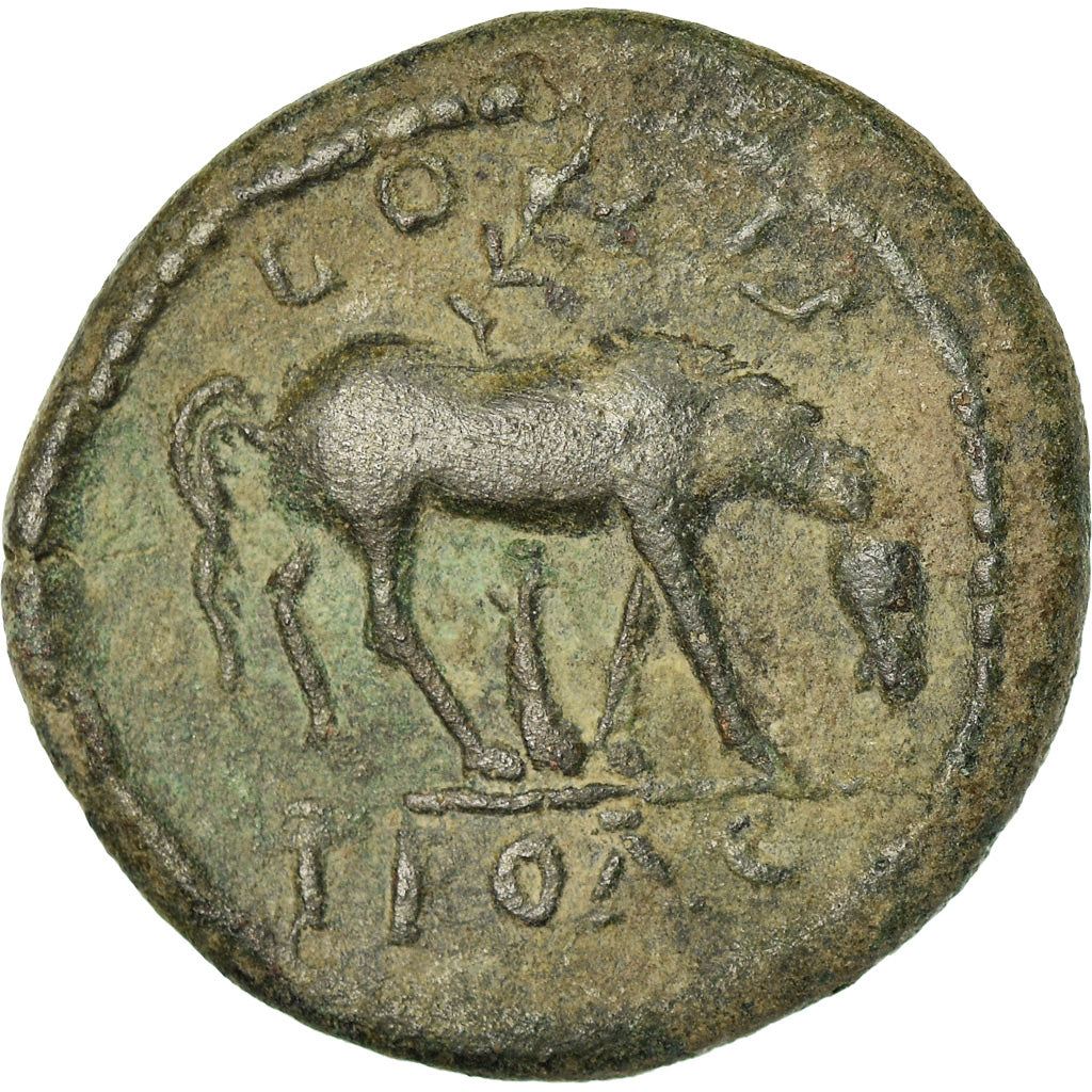Moneta, Troja, Severus Alexander, Bronze Æ, 222-235, Alexandria, EF(40-45)