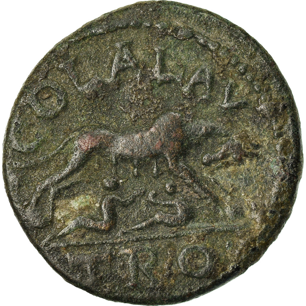 Moneta, Troas, Severus Alexander, Bronze Æ, 222-235, Alexandria, BB+, Bronzo