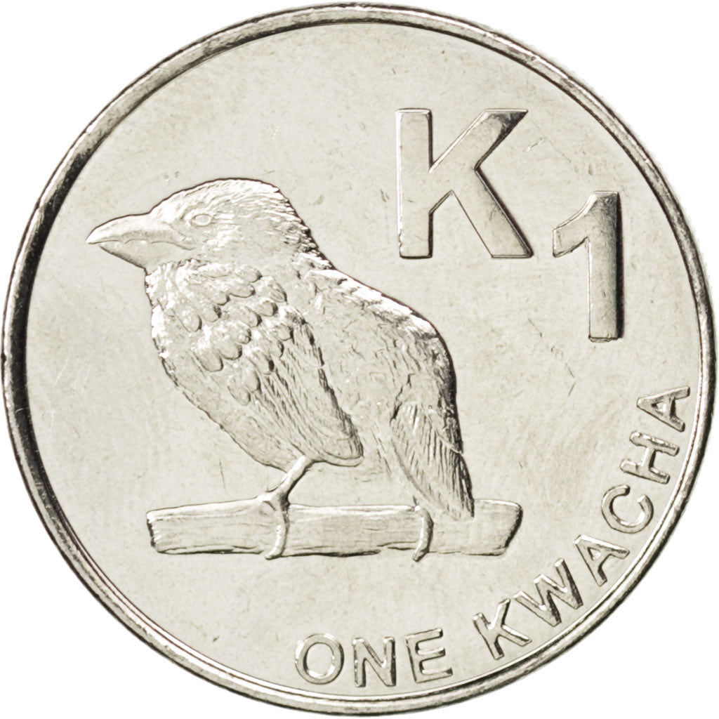 ZAMBIA, Kwacha, 2012, KM #209, MS(63), Nickel plated steel, 4.99