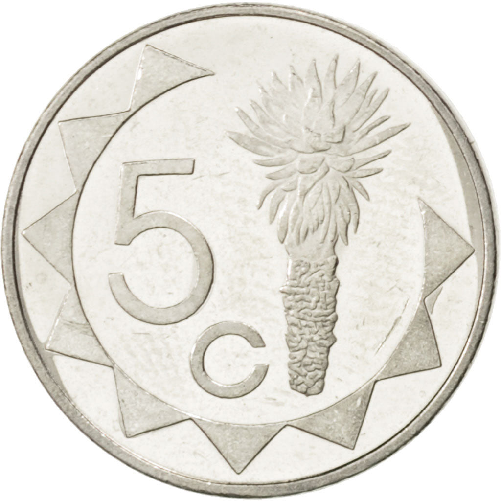 Coin, Namibia, 5 Cents, 1993, MS(63), Nickel plated steel, KM:1