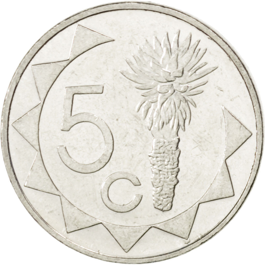 Coin, Namibia, 5 Cents, 1993, MS(63), Nickel plated steel, KM:1