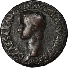 Münze, Caligula, As, 37-38, Rome, SS, Kupfer, RIC:38