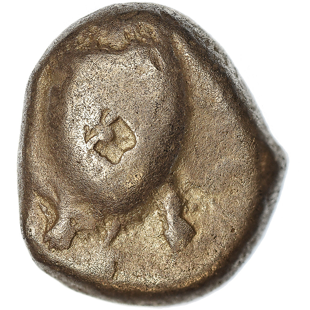 Monnaie, Aegina (480-456 BC), Statère, TB, Argent
