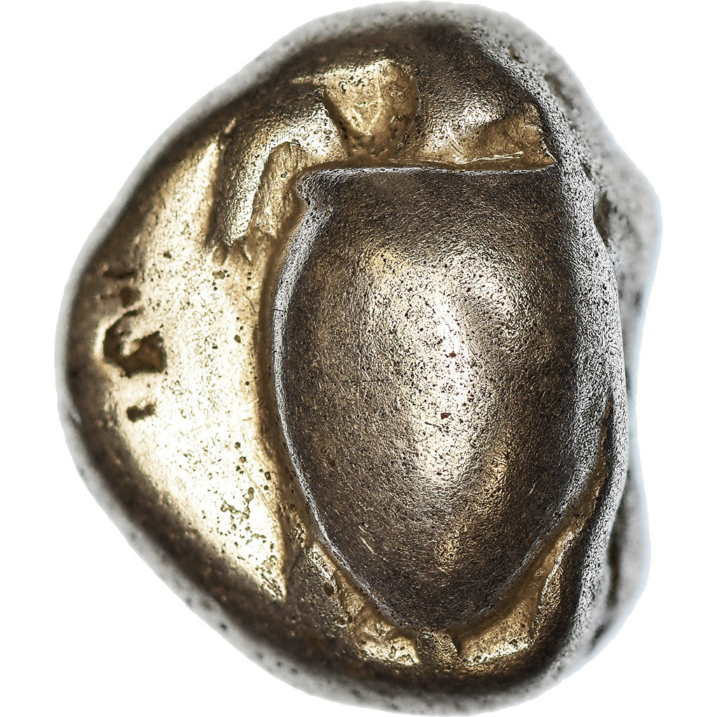 Münze, Aegina (480-456 BC), Stater, S, Silber