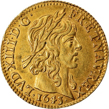 Monnaie, France, Louis XIII, 1/2 Louis d'or, 1643, Paris, Rare, SUP+, Or