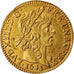 Monnaie, France, Louis XIII, 1/2 Louis d'or, 1643, Paris, Rare, SUP+, Or