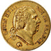 Moneda, Francia, Louis XVIII, Louis XVIII, 40 Francs, 1818, Lille, BC+, Oro