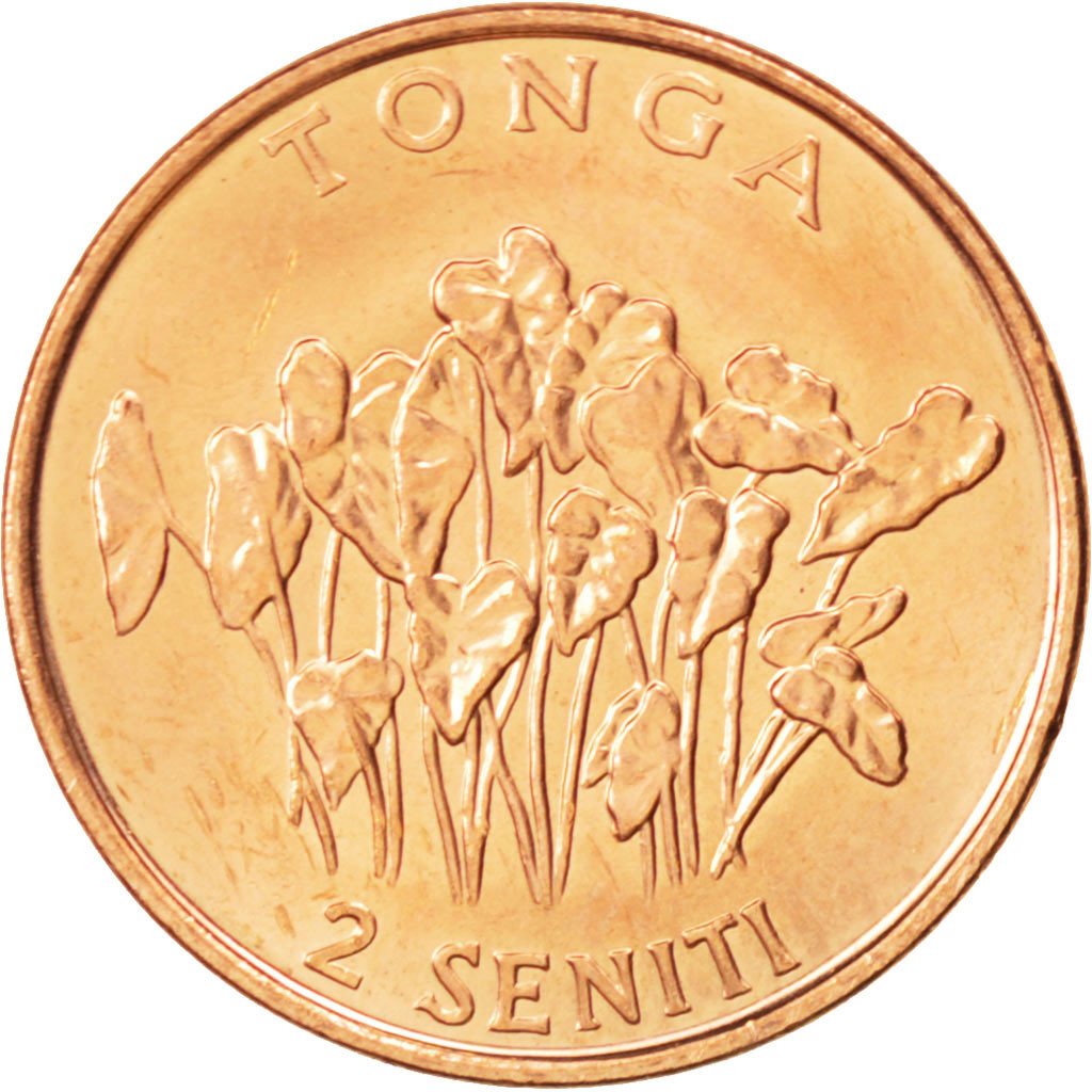TONGA, 2 Seniti, 2002, KM #67a, MS(63), Copper Plated Steel, 21, 3.52