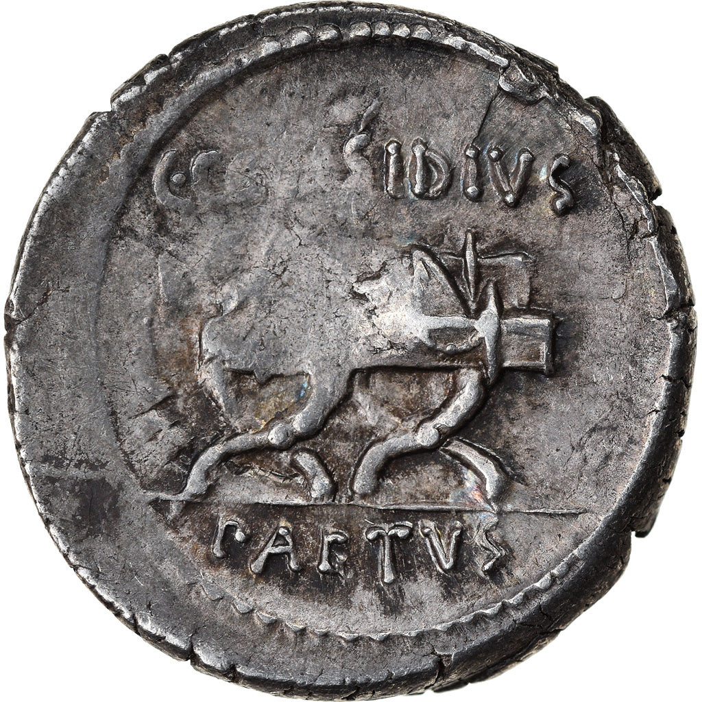 Münze, Considia, Denarius, Rome, S+, Silber, Crawford:465/1a
