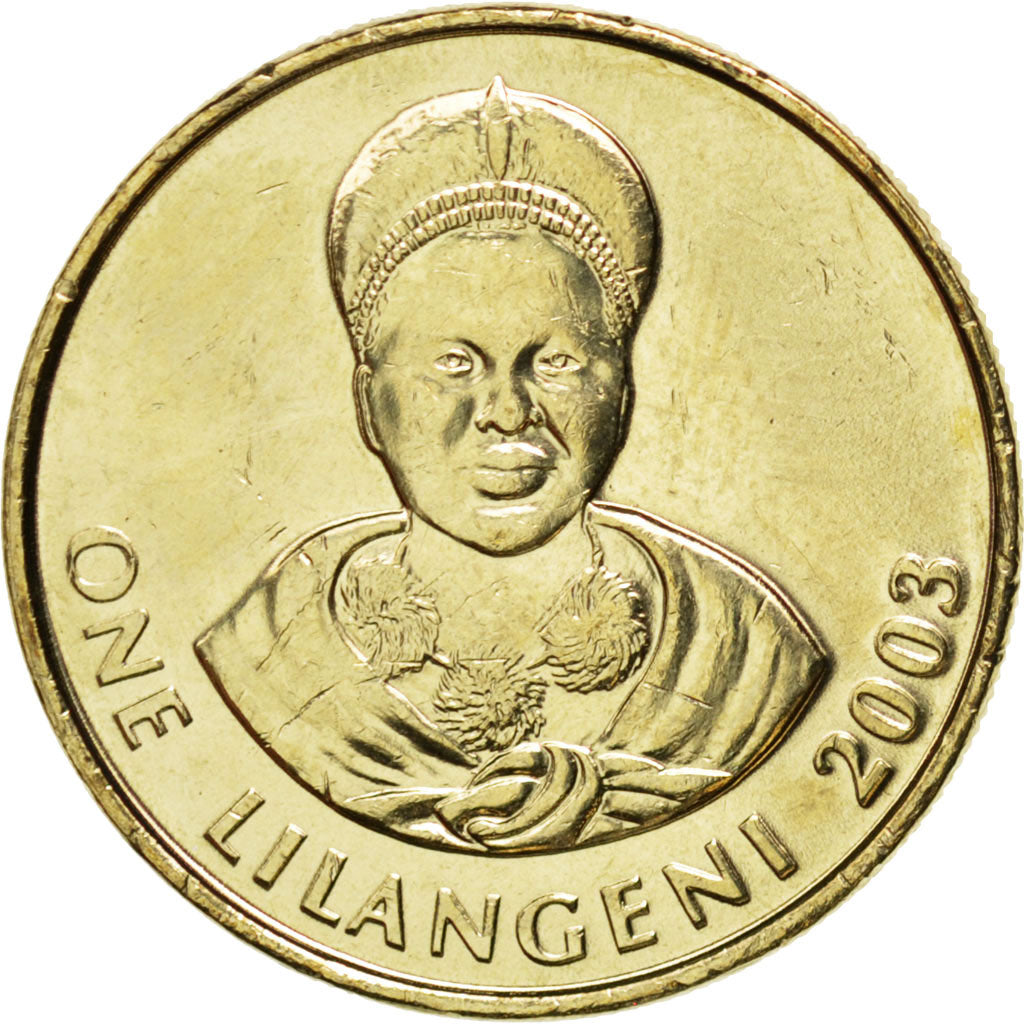 SWAZILAND, Lilangeni, 2003, KM #45, MS(63), Brass, 22.5, 9.49
