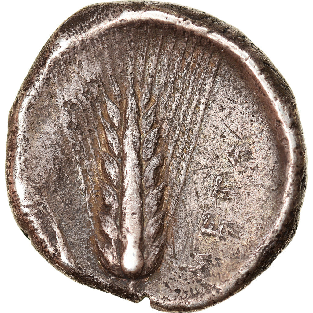 Coin, Lucania, Metapontion, Leucippus, Didrachm, Metapontion, VF(30-35), Silver