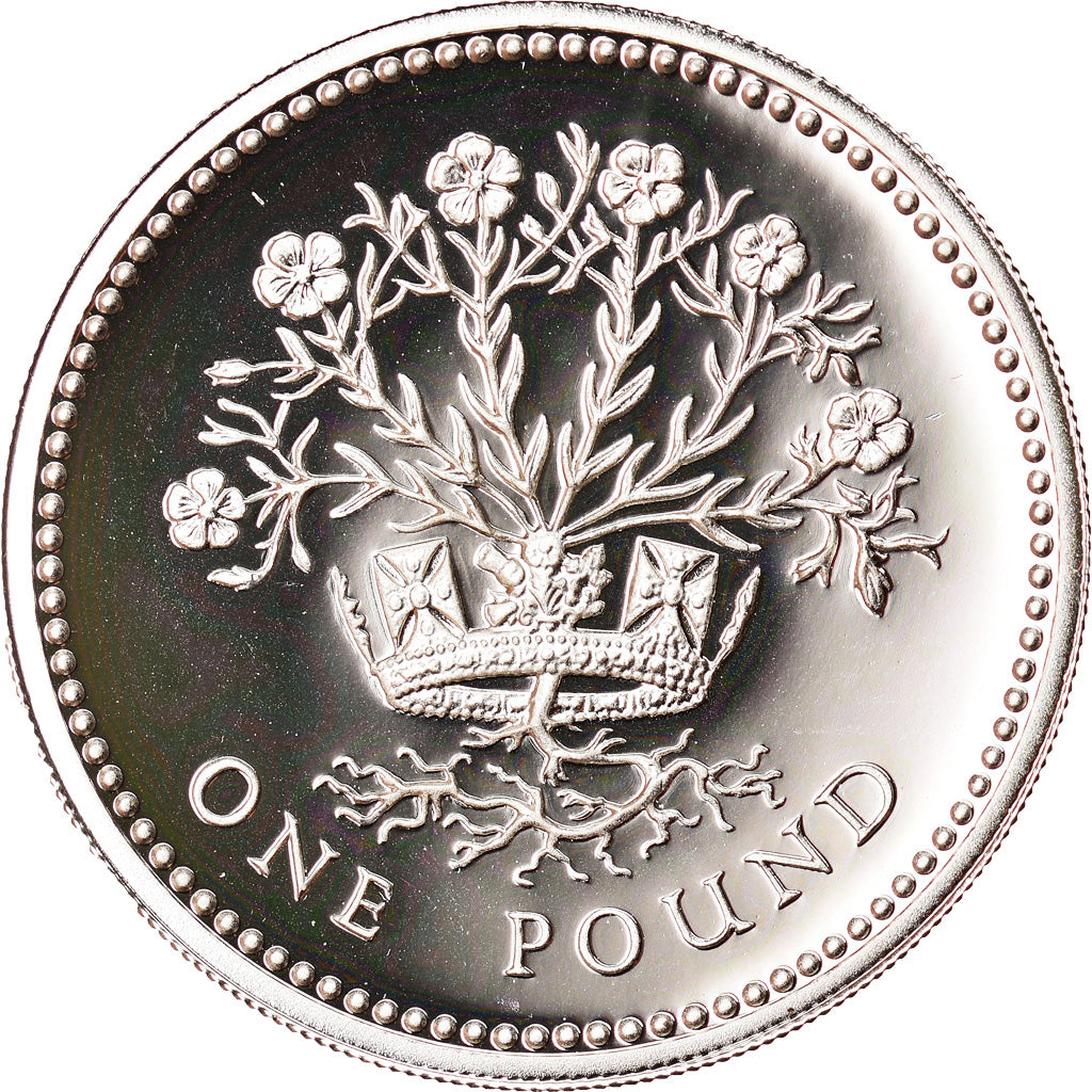 Coin, Great Britain, Elizabeth II, Pound, 1991, MS(65-70), Silver, KM:946a