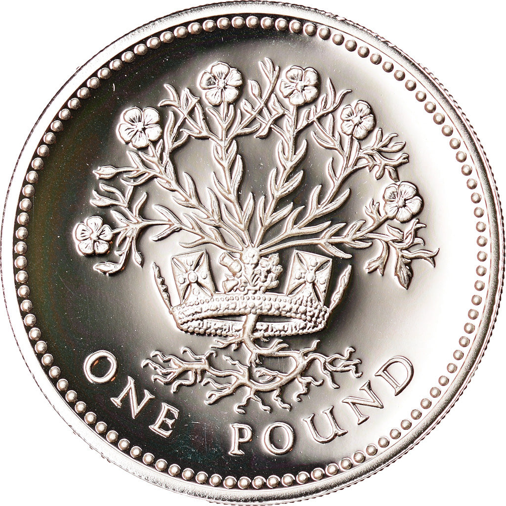 Münze, Großbritannien, Elizabeth II, Pound, 1991, STGL, Silber, KM:946a