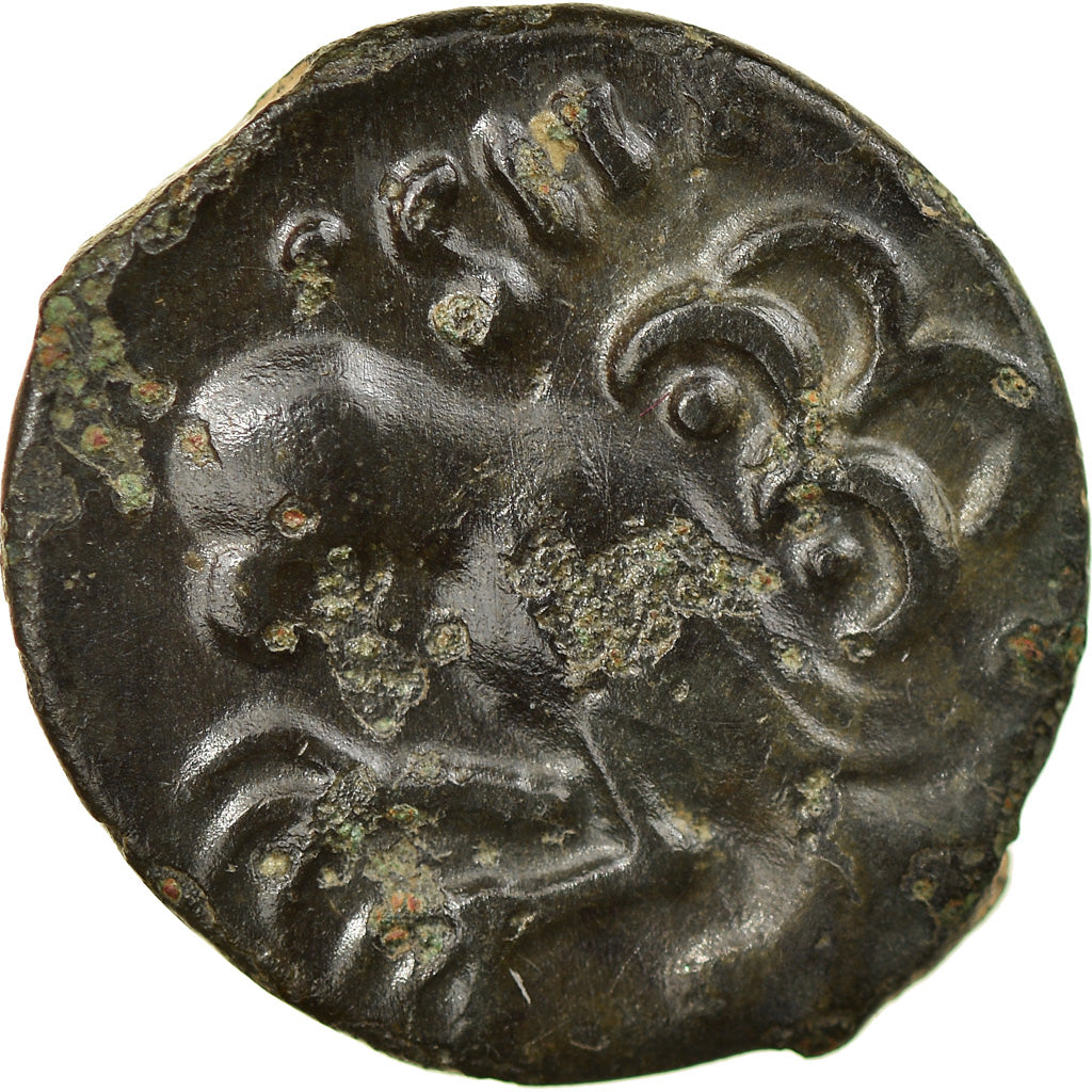 Coin, Senones, Bronze Æ, AU(55-58), Bronze, Delestrée:2631