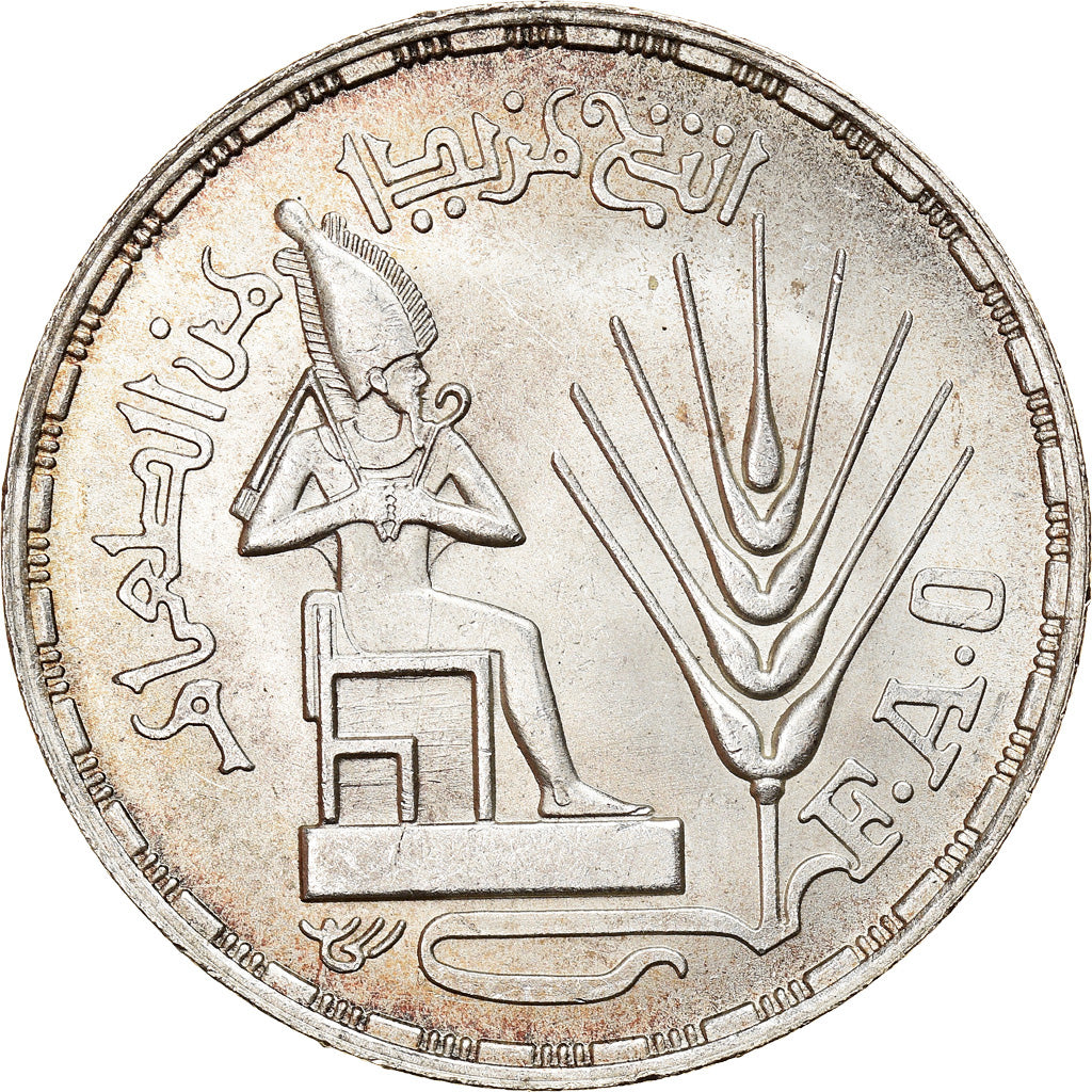 Münze, Ägypten, Pound, 1976, VZ+, Silber, KM:453