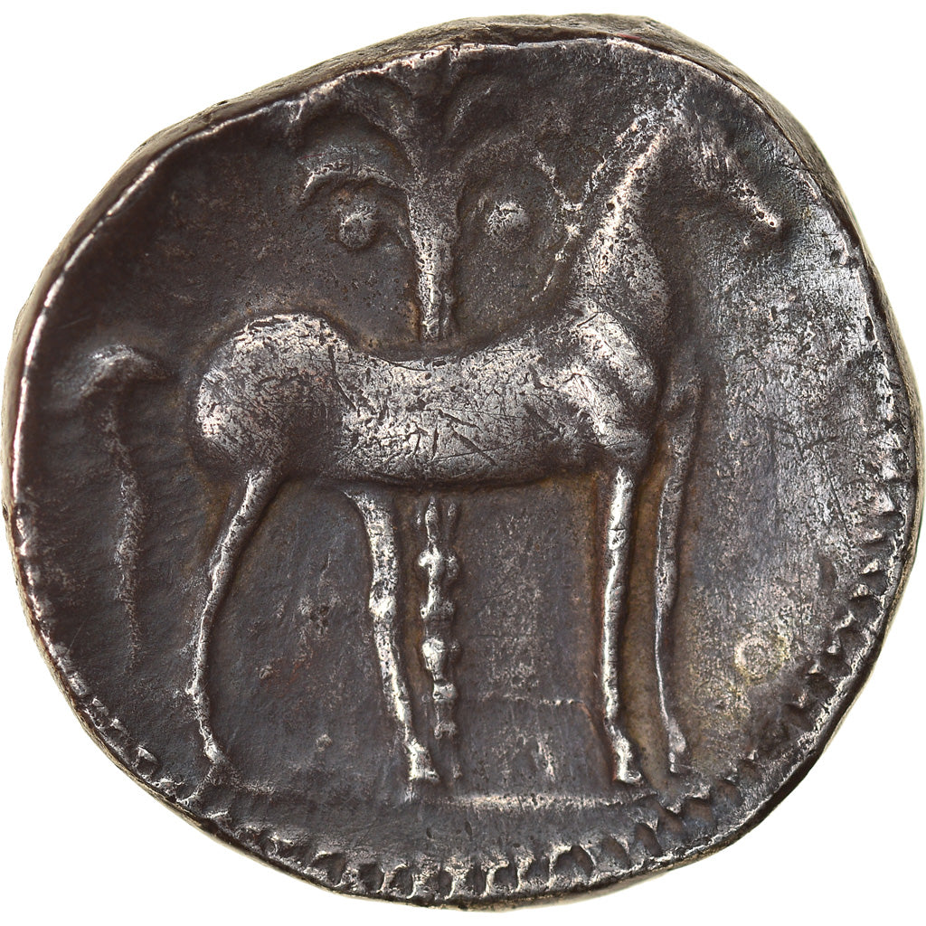 Moneta, Shekel, 237-209 BC, Carthage, Rzadkie, EF(40-45), Srebro