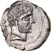 Moneda, Domitius Calvinus, Denarius, 38 BC, Osca, Very rare, SC, Plata, Calicó