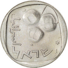 Moneta, Israele, 5 Agorot, 1976, SPL, Rame-nichel, KM:25c