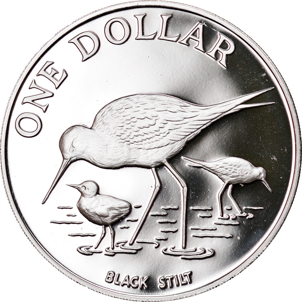 Coin, New Zealand, Elizabeth II, Dollar, 1985, MS(64), Silver, KM:55a