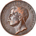 Moneta, Italia, Vittorio Emanuele III, 10 Centesimi, 1911, Rome, BB, Bronzo