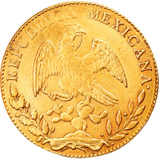 Moneda, México, 8 Escudos, 1852, Mexico City, MBC, Oro, KM:383.9