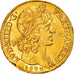 Moneta, Francja, Louis XIII, Double Louis d'or, 2 Louis D'or, 1640, Paris