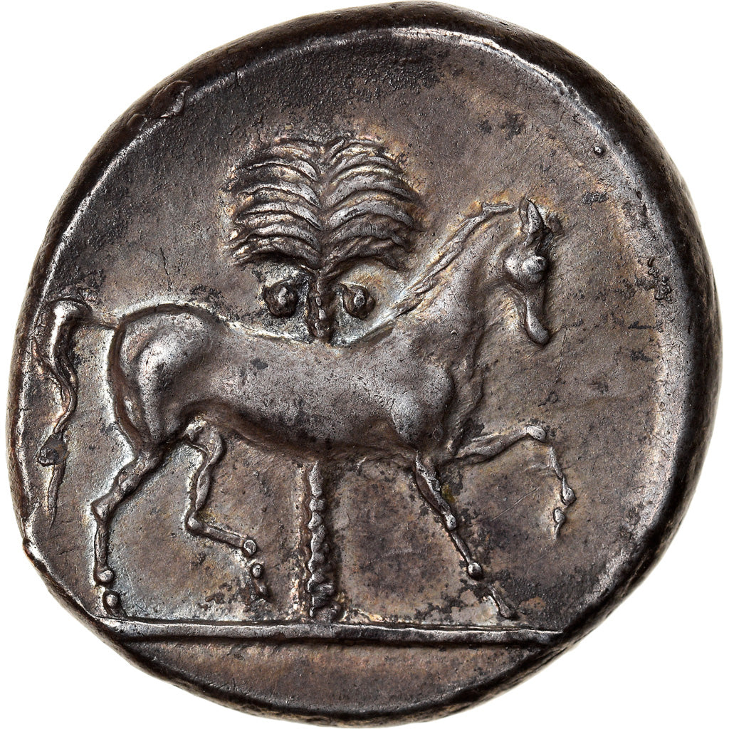 Coin, Sicily, Siculo-Punic, Tetradrachm, 350-320 BC, Very rare, MS(64), Silver