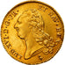 Coin, France, Louis XVI, Double louis d'or à la tête nue, 2 Louis D'or, 1791