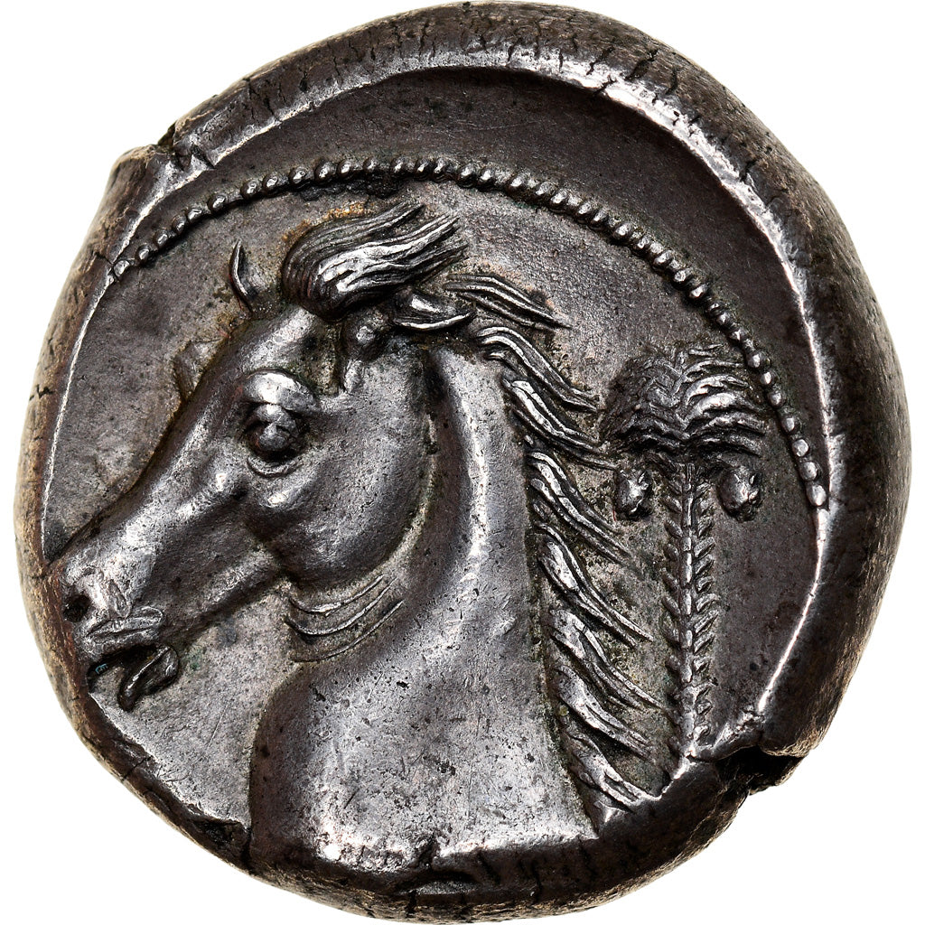 Coin, Sicily, Siculo-Punic, Tetradrachm, 300-289 BC, Entella, MS(63), Silver