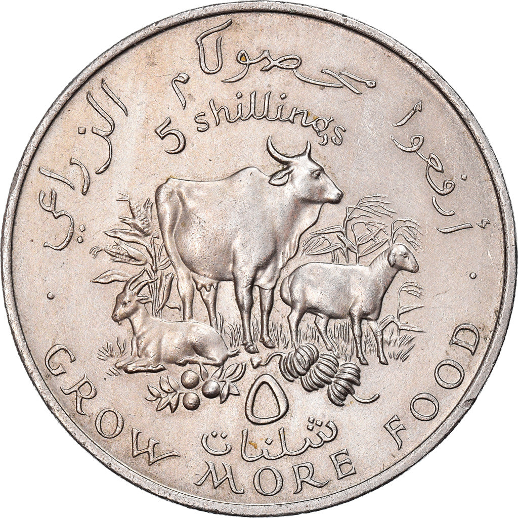 Coin, Somalia, 5 Shillings, 1970, MS(63), Copper-nickel, KM:15