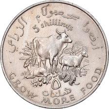 Coin, Somalia, 5 Shillings, 1970, MS(63), Copper-nickel, KM:15