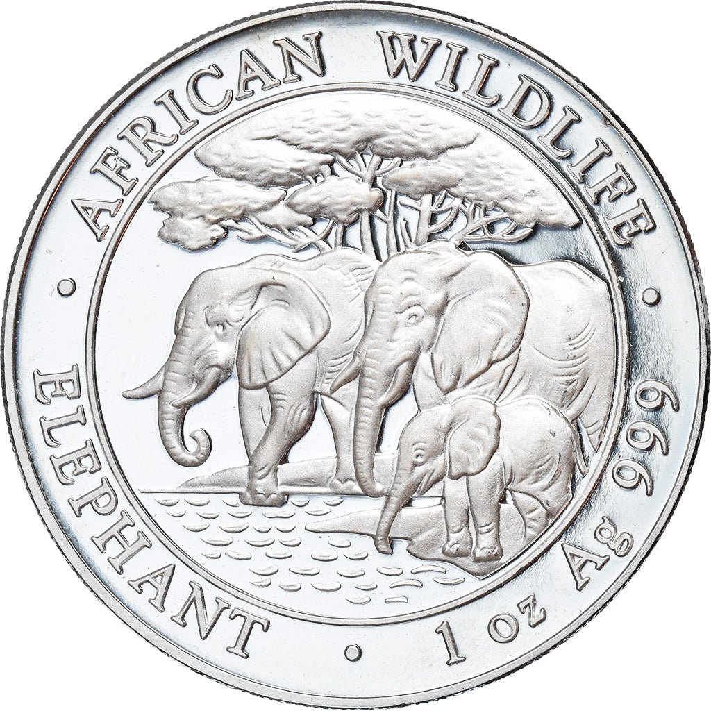 Coin, Somalia, 100 Shillings, 2013, MS(65-70), Silver