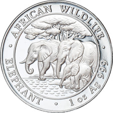 Coin, Somalia, 100 Shillings, 2013, MS(65-70), Silver
