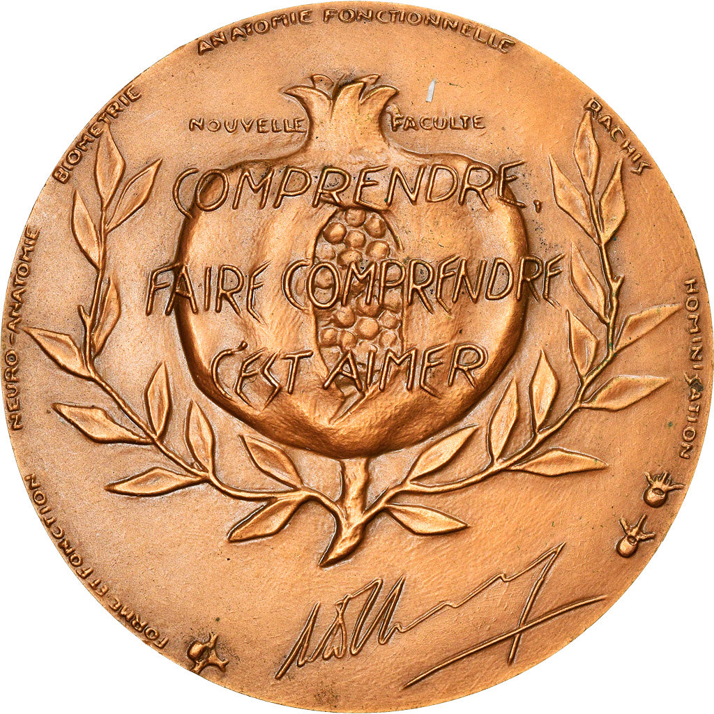 França, Medal, Professeur André Delmas, Académie de Médecine, Medicina