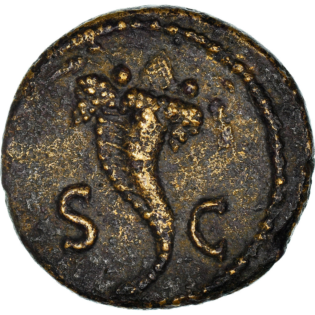 Coin, Domitian, Quadrans, Roma, EF(40-45), Copper, Cohen:543