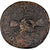 Moneda, Nerva, Dupondius, Rome, BC+, Bronce, RIC:81