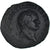 Moneda, Titus, As, Roma, Rare, MBC+, Bronce, RIC:1036