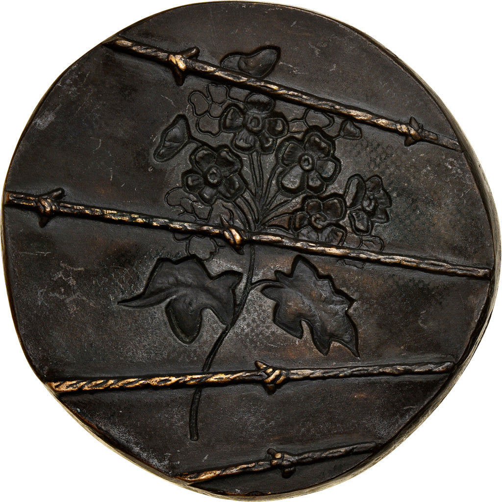 France, Médaille, Anne Frank, History, Simon, SUP, Bronze