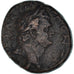 Coin, Vespasian, As, Seleucia Pieria, AU(50-53), Bronze