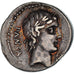 Coin, Vibia, Denarius, 90 BC, Roma, AU(50-53), Silver, Cohen:2