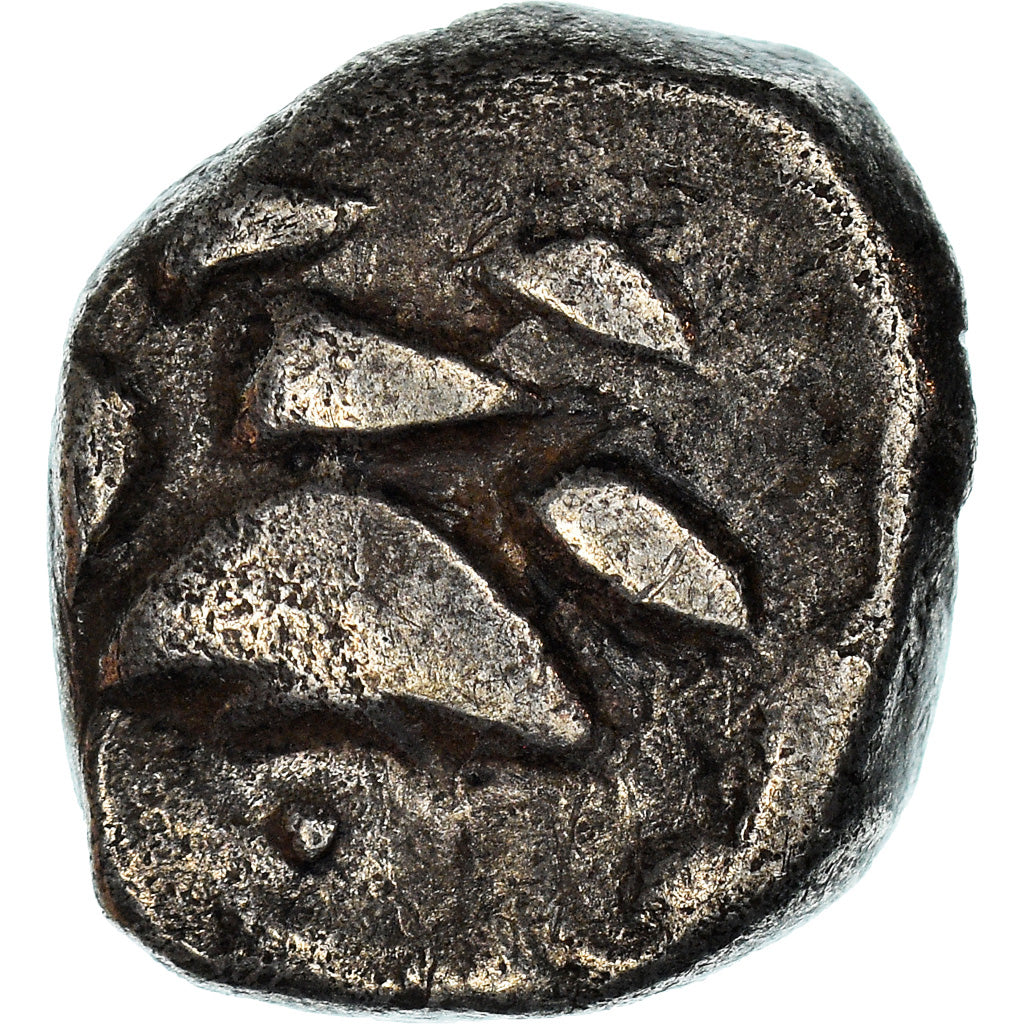 Coin, Volcae Tectosages, Drachm, EF(40-45), Silver, Latour:3254 var.